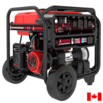 GXS5000RDC - Remote Dual Fuel Generator