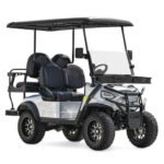 48V Electric Golf Cart 4 Seater Renegade Edition Utility Golf UTV