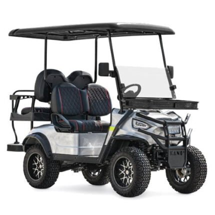 48V Electric Golf Cart 4 Seater Renegade Edition Utility Golf UTV