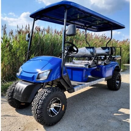 6 Passenger WildCat 48v Electric Golf Cart Limo LSV Low Speed Vehicle Six Seater - 48v - Blue - BD600
